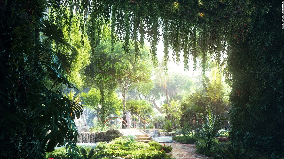 dubai rainforest hotel