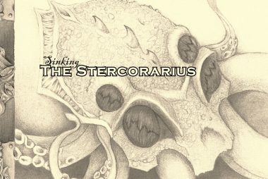 Sinking the Stercorarius cover